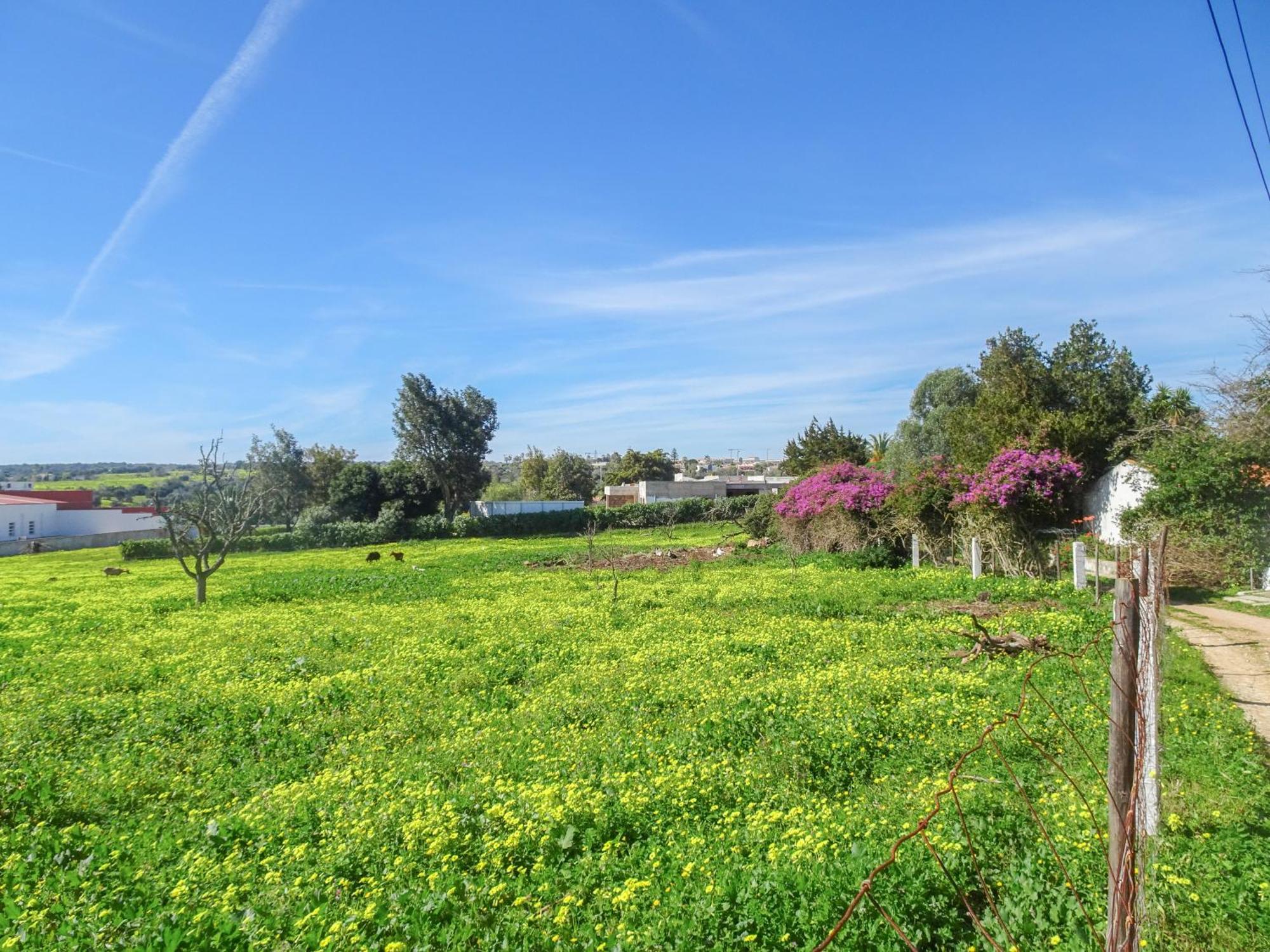 Holiday home Fazenda De Quinta De *